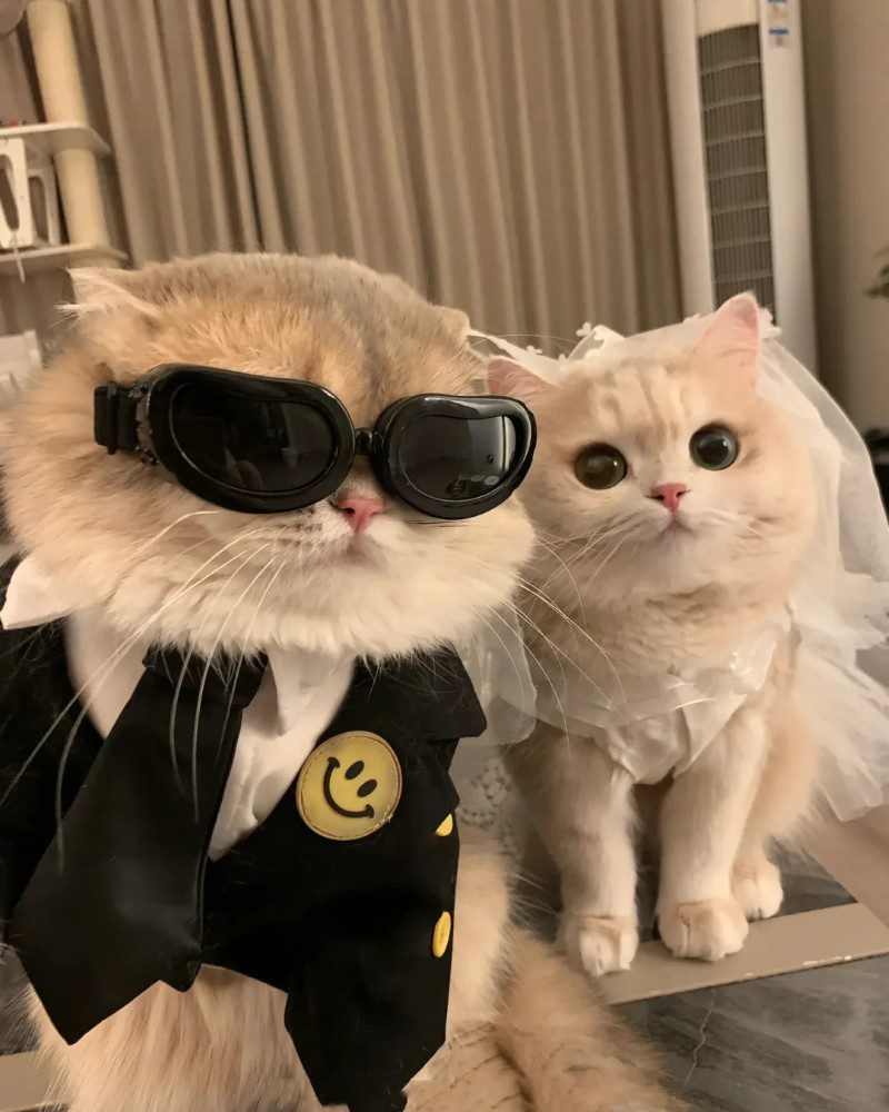 love cute couple pic 20